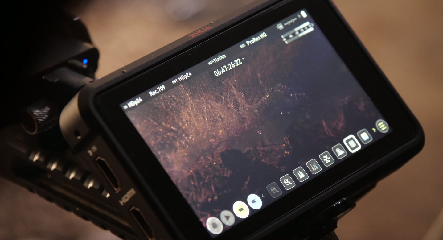 映画「怪獣と老人」最新予告編